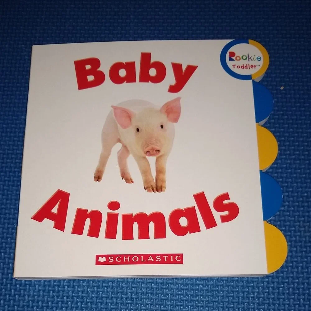 Rockie Toddler Baby Animals New Board Book